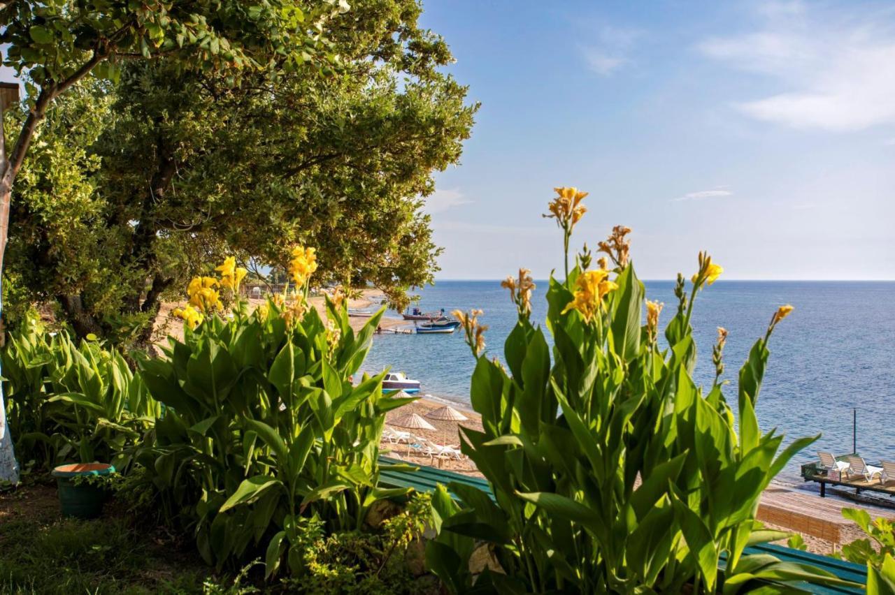 Troas Beach Hotel Tavaklı Esterno foto